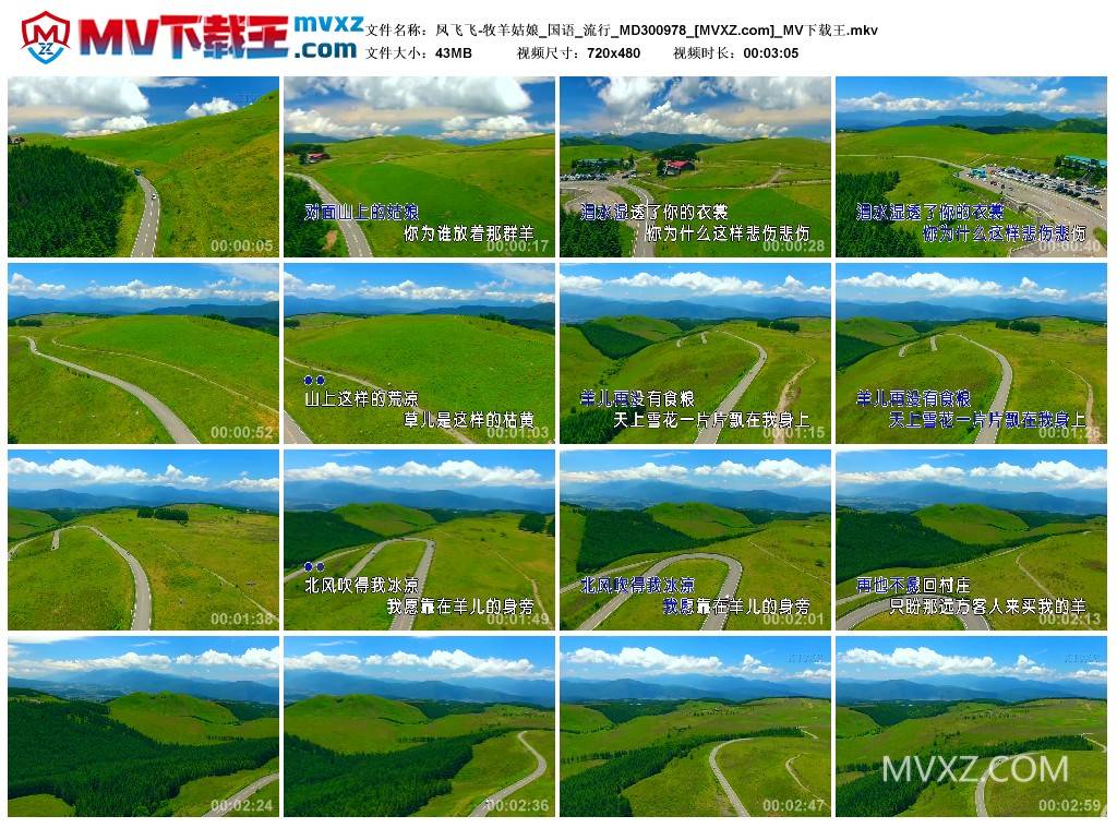 凤飞飞-牧羊姑娘_国语_流行_MD300978